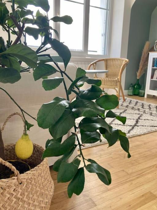 Apartamento Le Citronnier Fouesnant Exterior foto